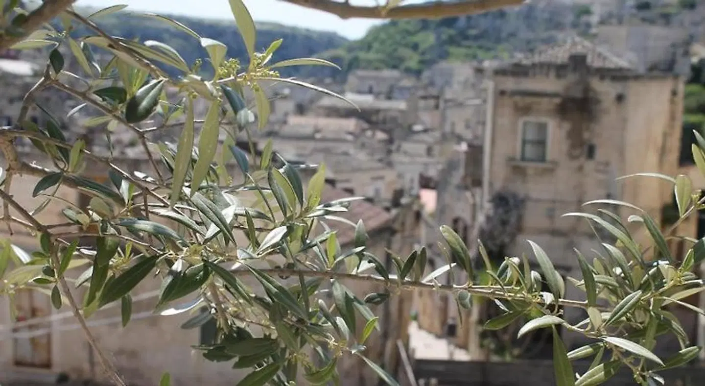 Antico Convicino Rooms Suites & SPA LANDSCAPE