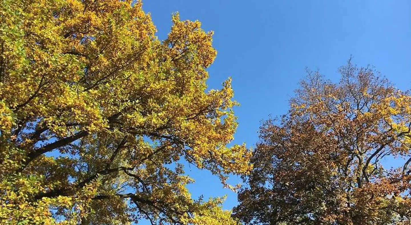 Das kleine Hotel LANDSCAPE