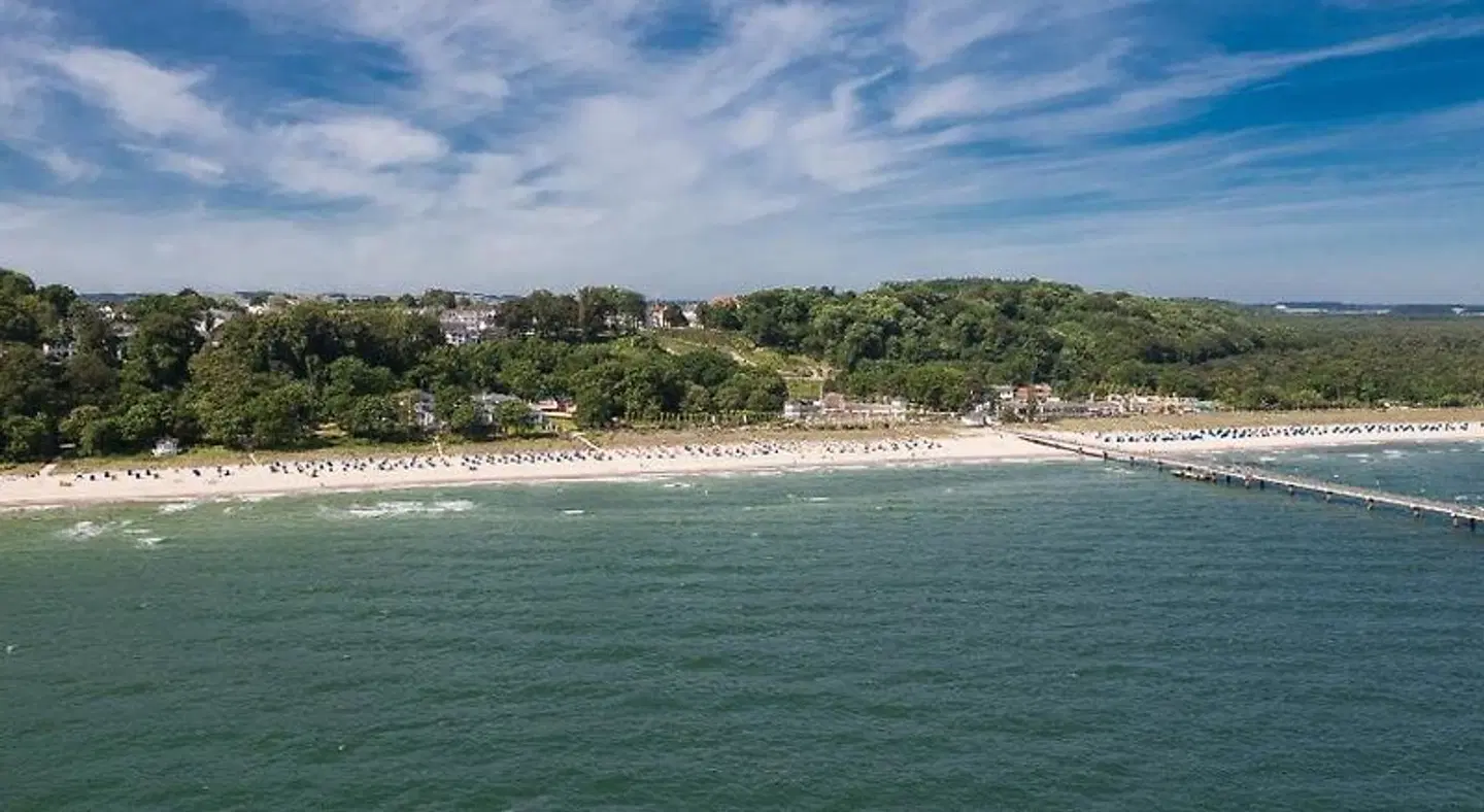 Stranddistel LANDSCAPE