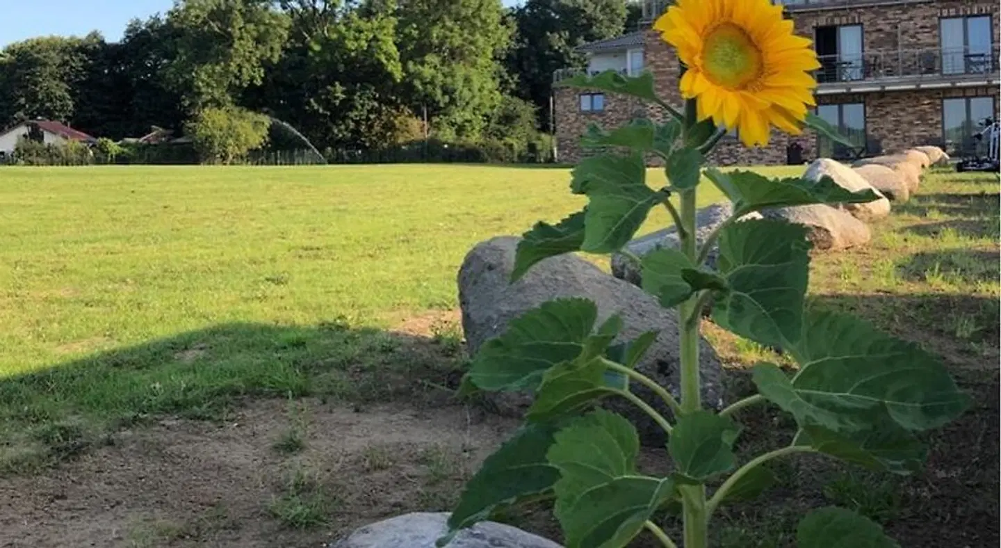 Appartments an der Golfanlage Garten