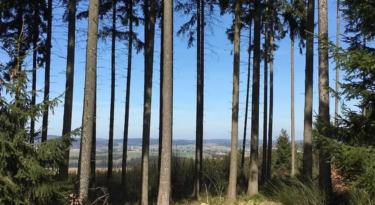 Orketal LANDSCAPE