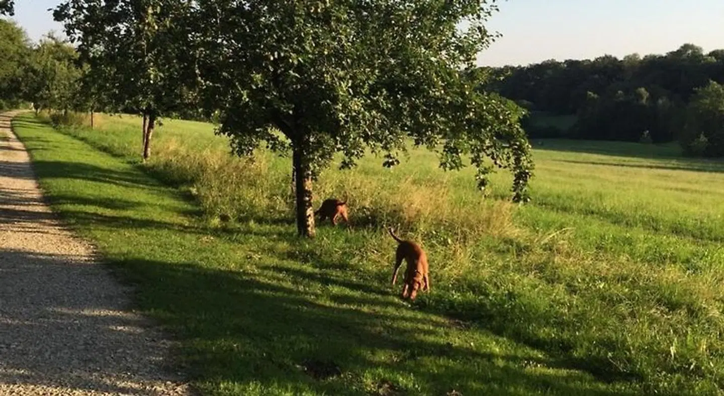 Brand's Busch SPORTS_AND_LEISURE