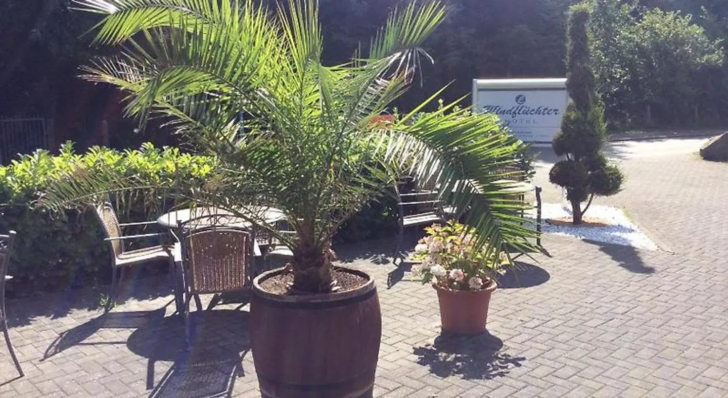 Hotel Windflüchter Terrasse
