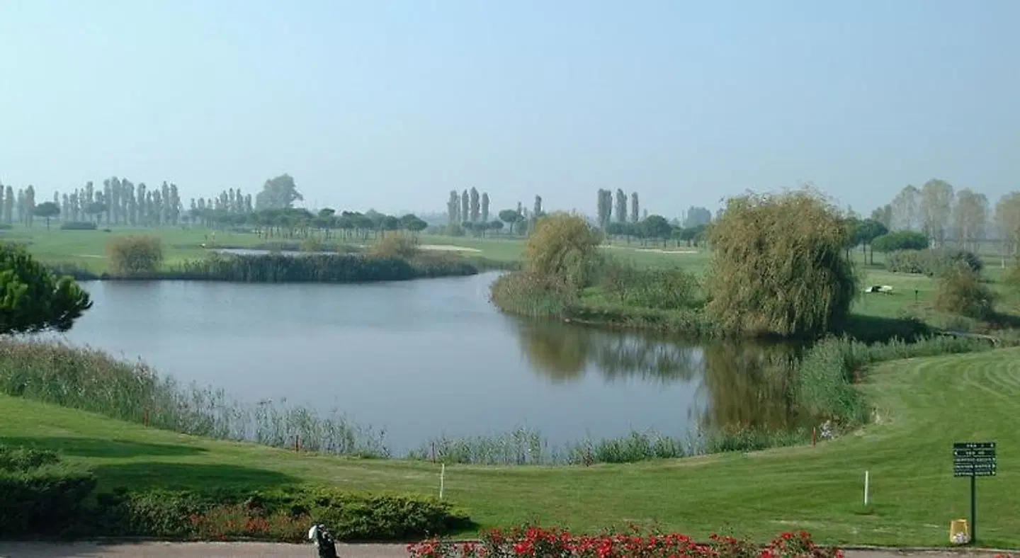 Excelsior LANDSCAPE