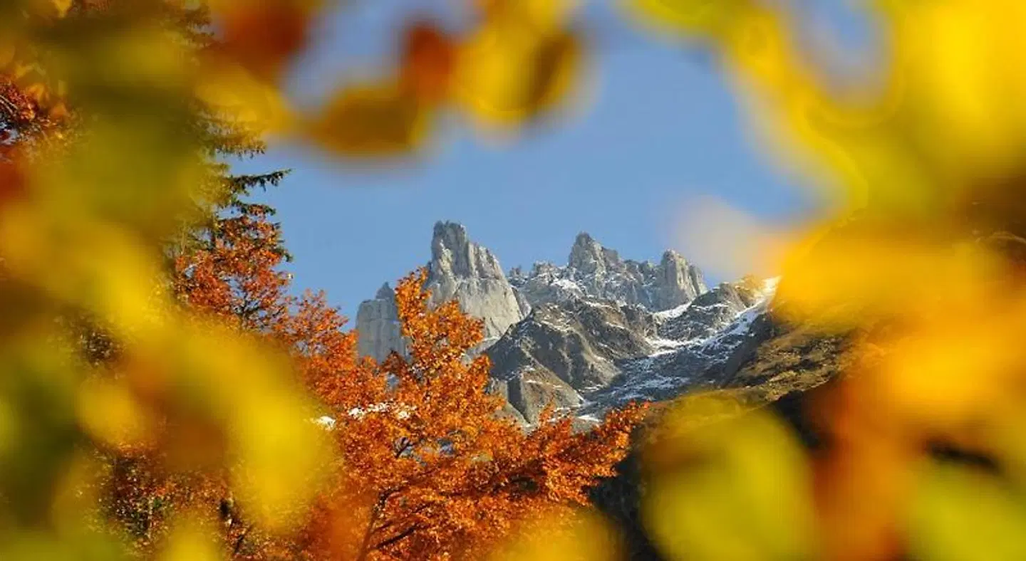 Spannort LANDSCAPE