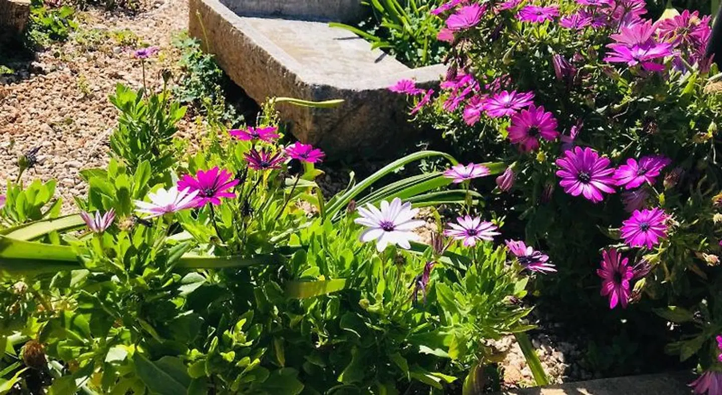 B&B Timpe Bianche Garten