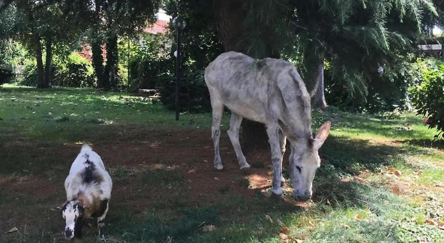 Il Trattore Bed & Breakfast Tiere