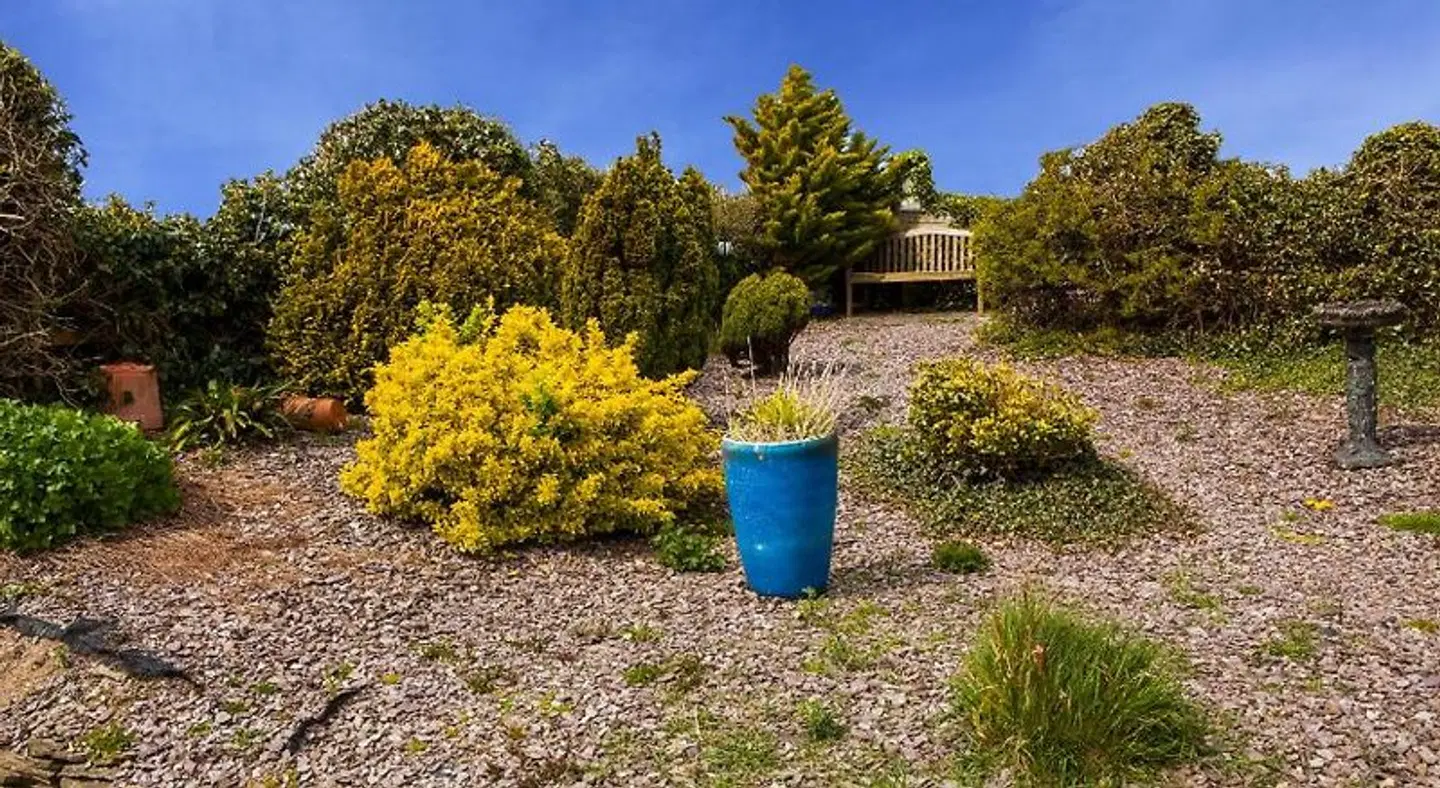 Sunville Bed And Breakfast Garten