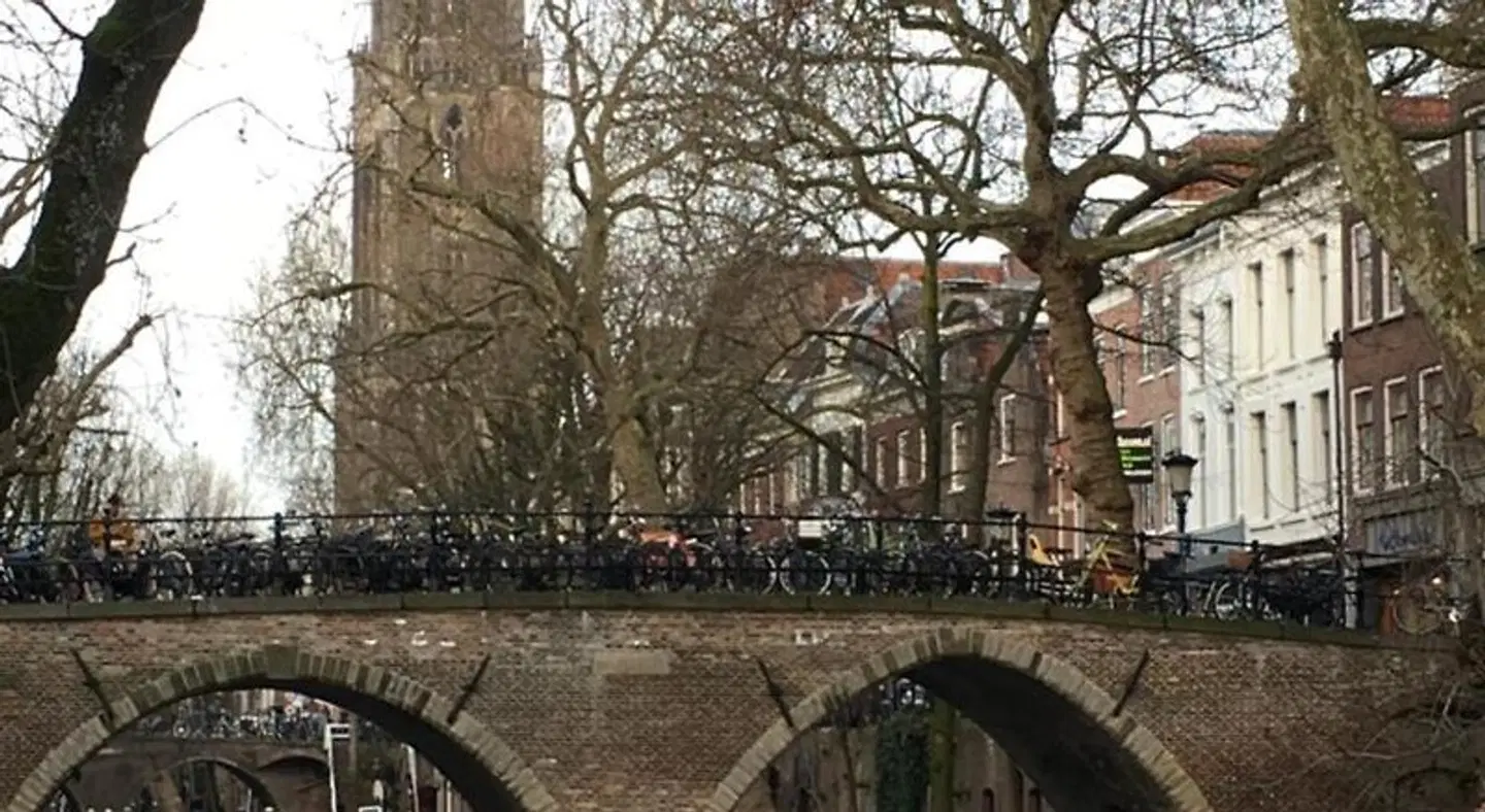 De Verrassing LANDSCAPE