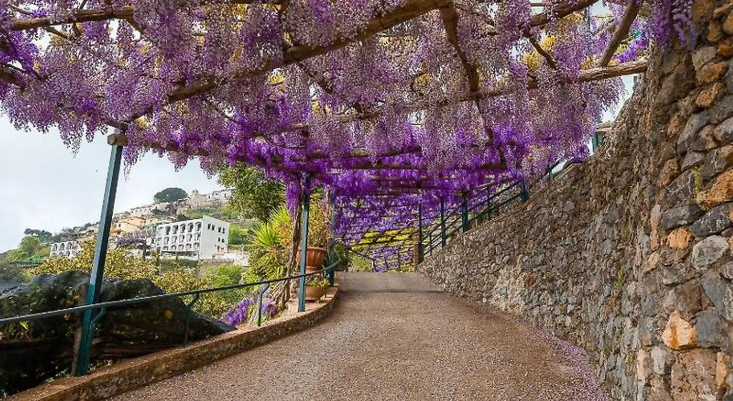 Villa San Lorenzo LANDSCAPE