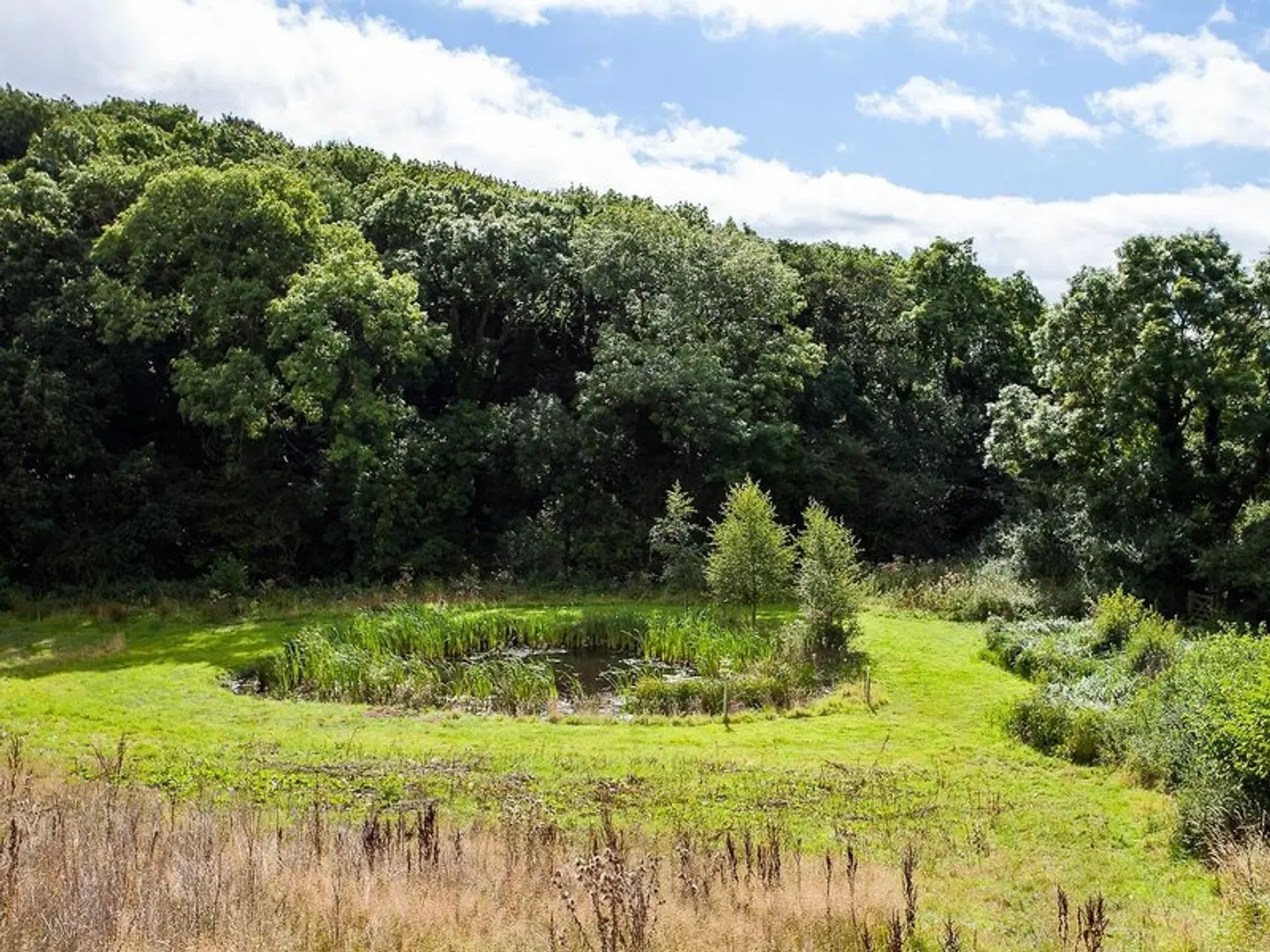 Blackthorn Gate LANDSCAPE