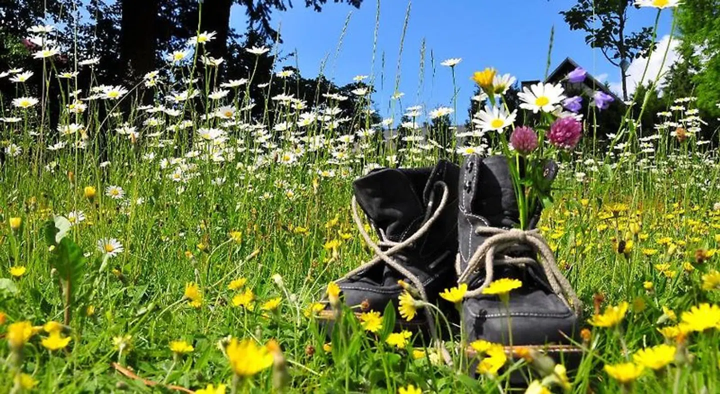 Zum Schneekopf Garten