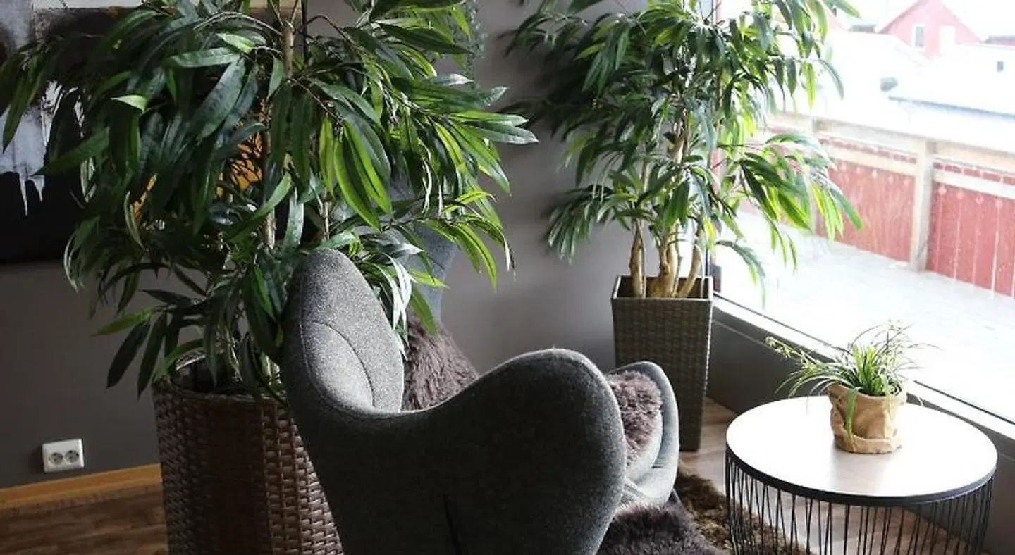 Altafjord Gjestegaard & Spa Terrasse