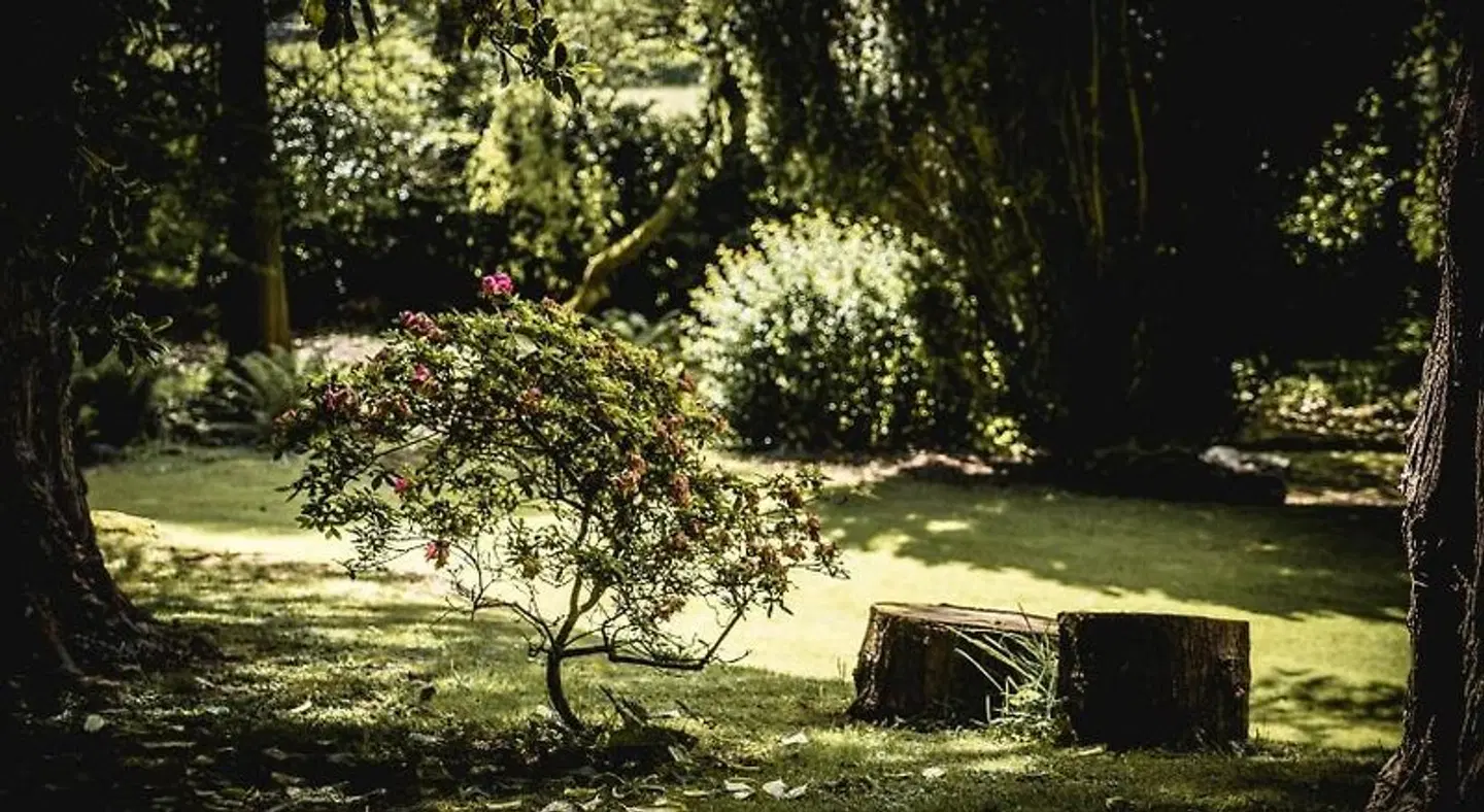 Tir y Coed Country House Garten