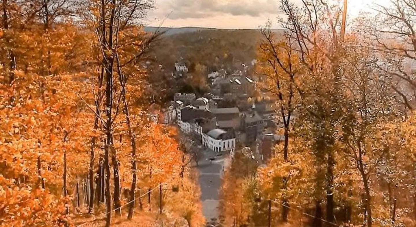 Hôtel La Reine LANDSCAPE