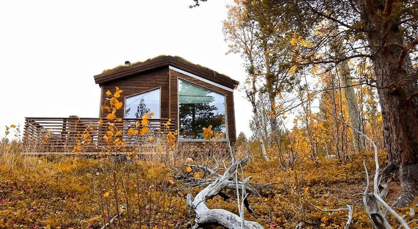 Bjørnfjell Mountain Lodge SPORTS_AND_LEISURE