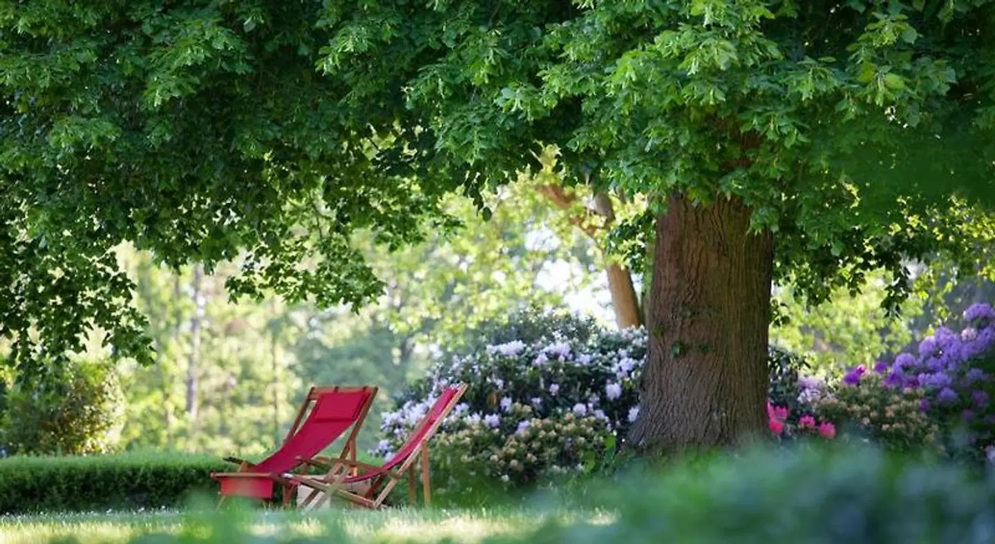 Wilhelmshöhe Garten