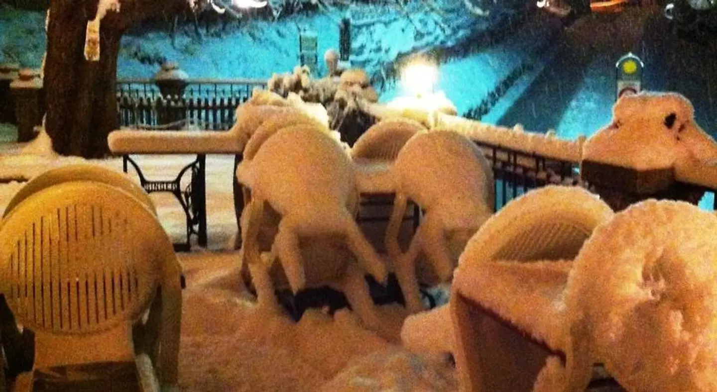 Agra Tiere