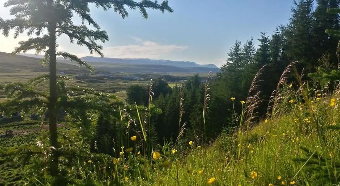 Guesthouse Hvitafell LANDSCAPE