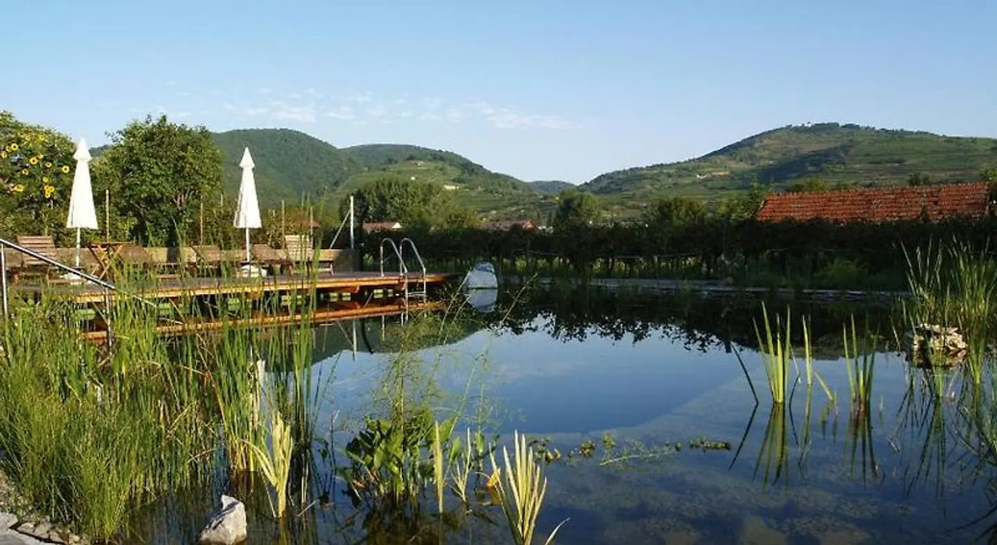 Ad Vineas Gästehaus Nikolaihof LANDSCAPE