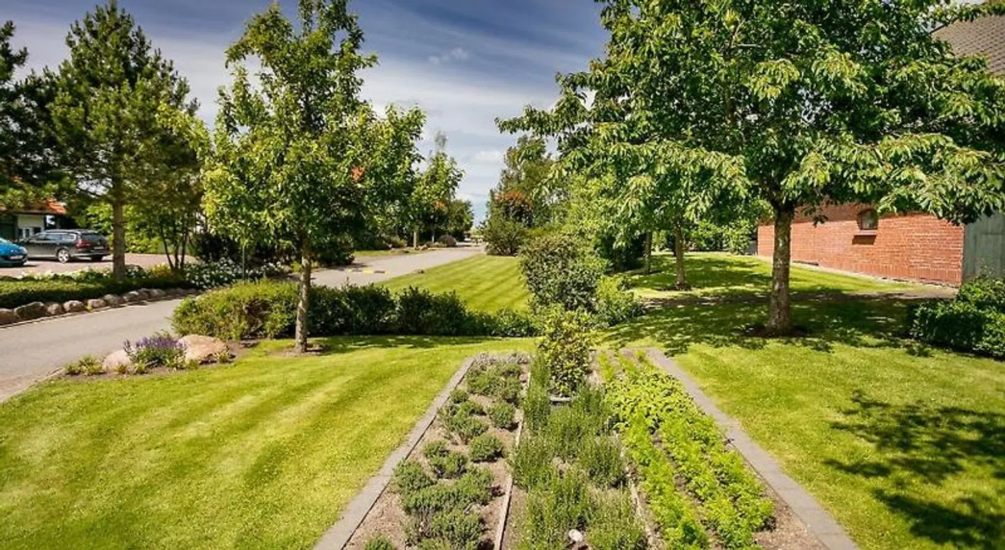 Der Wilde Schwan Garten