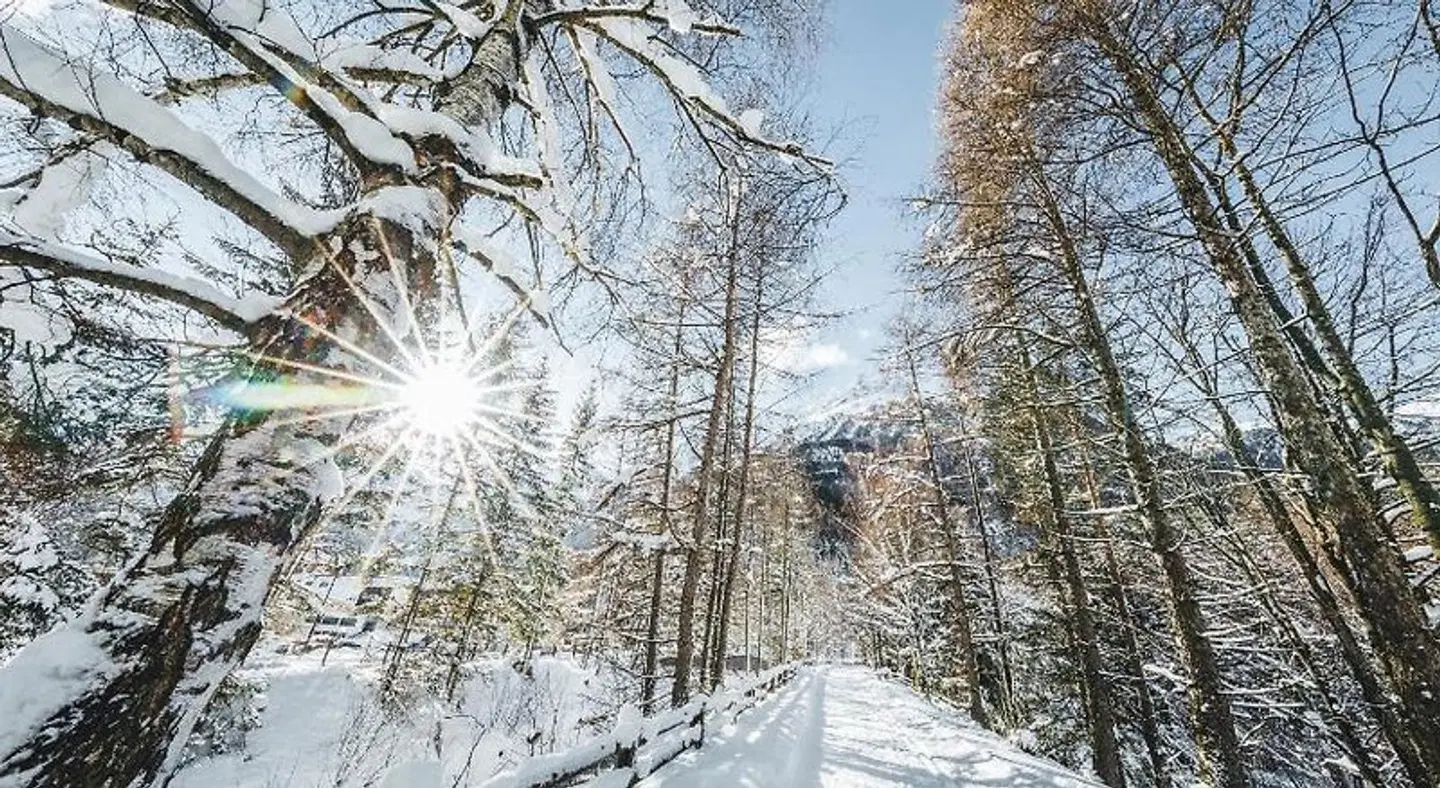 Naturhotel Waldklause LANDSCAPE