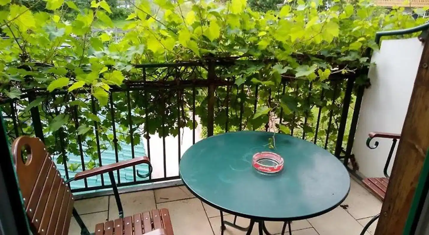 Torrenerhof Terrasse