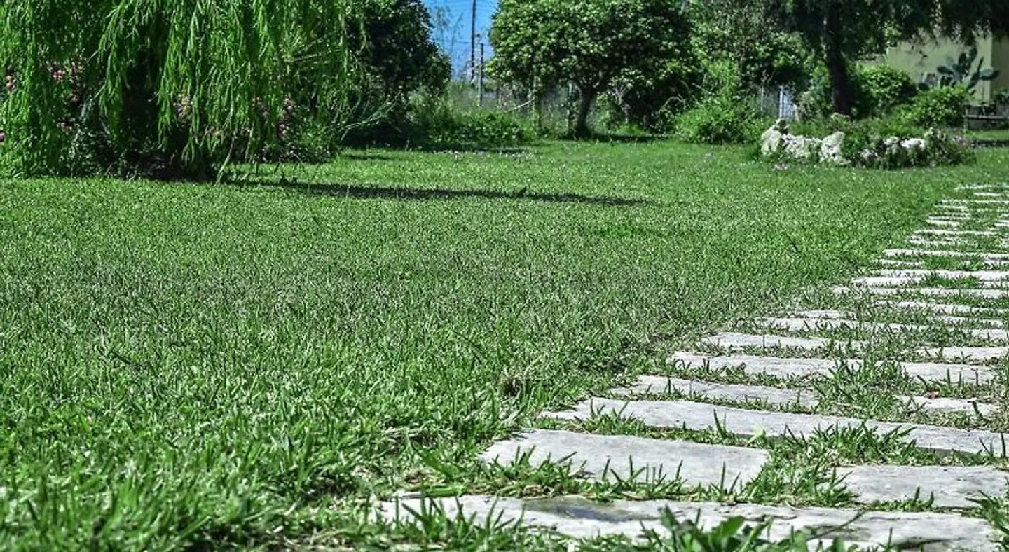 Mirsini Apartments LANDSCAPE