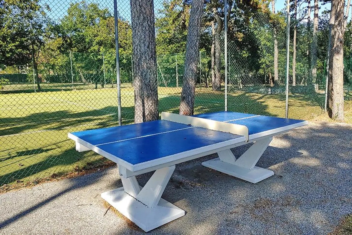 Camping Village Mare Pineta SPORTS_AND_LEISURE