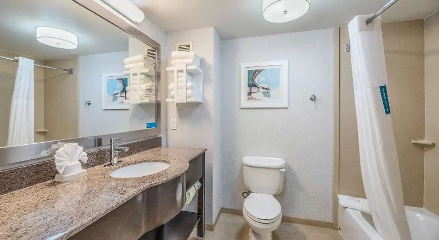 Hampton Inn Oakland-Hayward Badezimmer