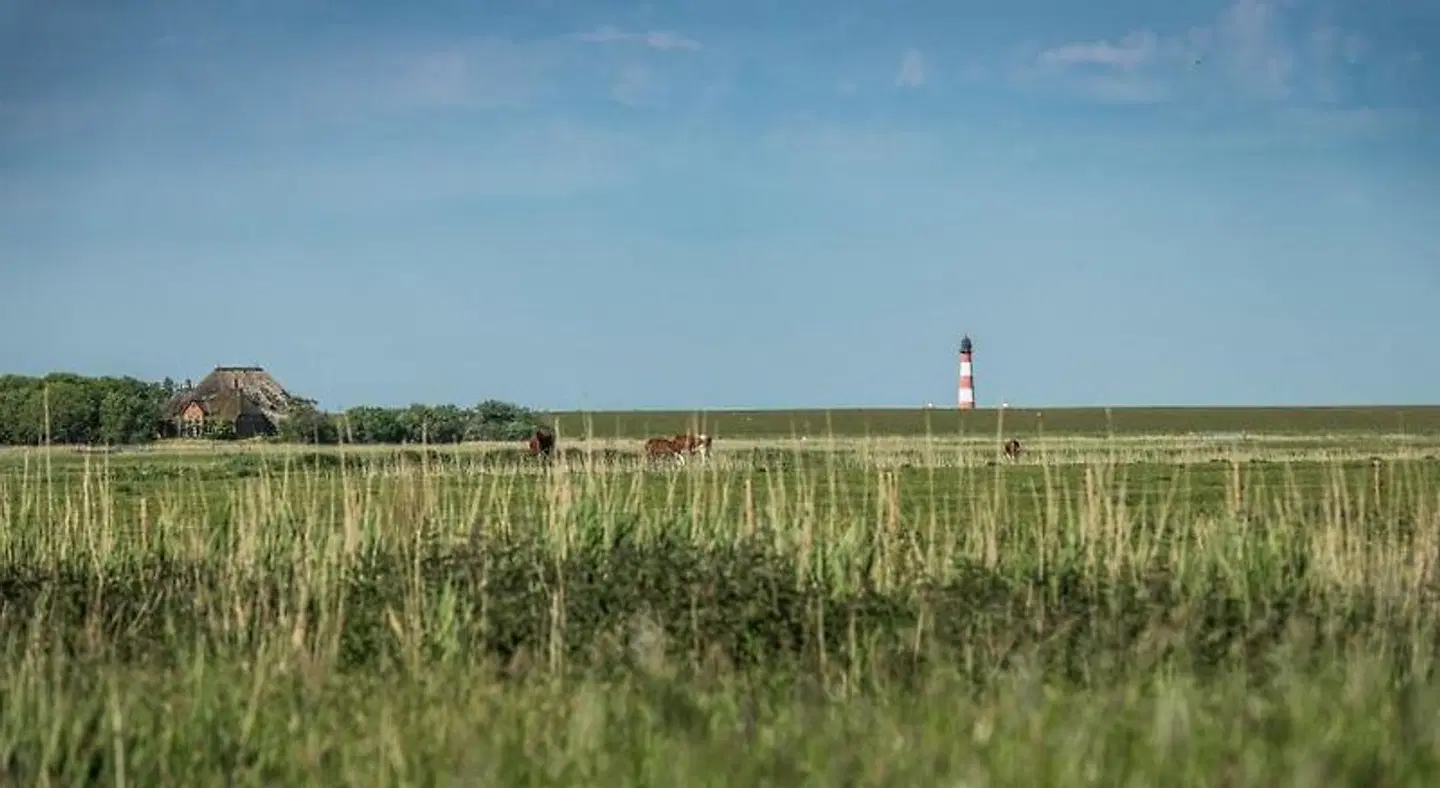Kirchspielkrug Mahrt LANDSCAPE