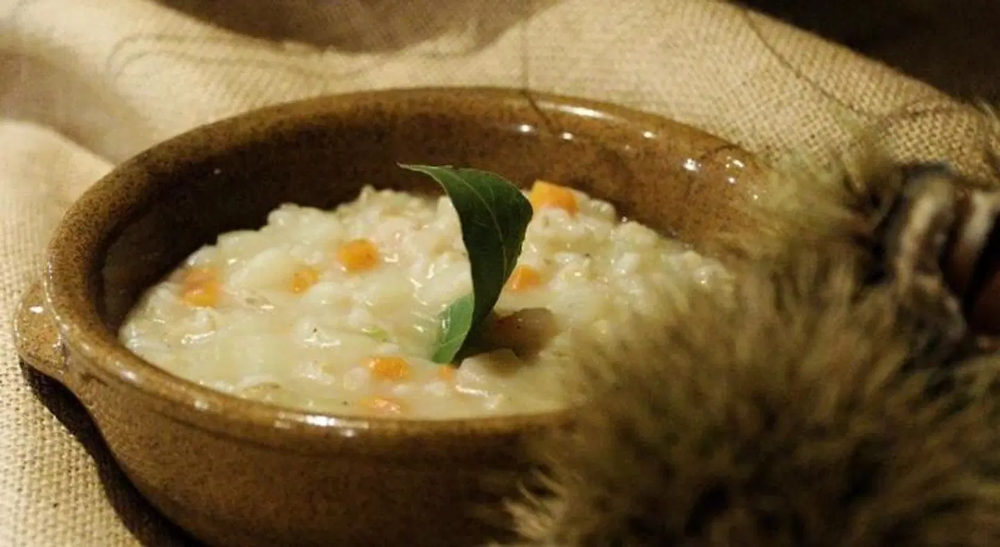 Belfiore Restaurant