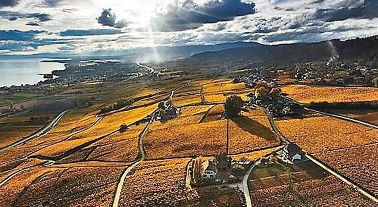 La Barcarolle LANDSCAPE