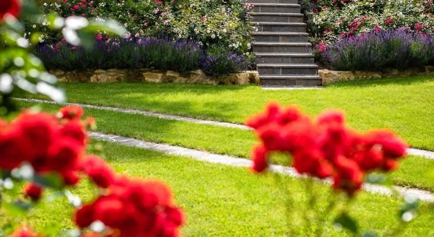 Alter Gerichtshof Garten