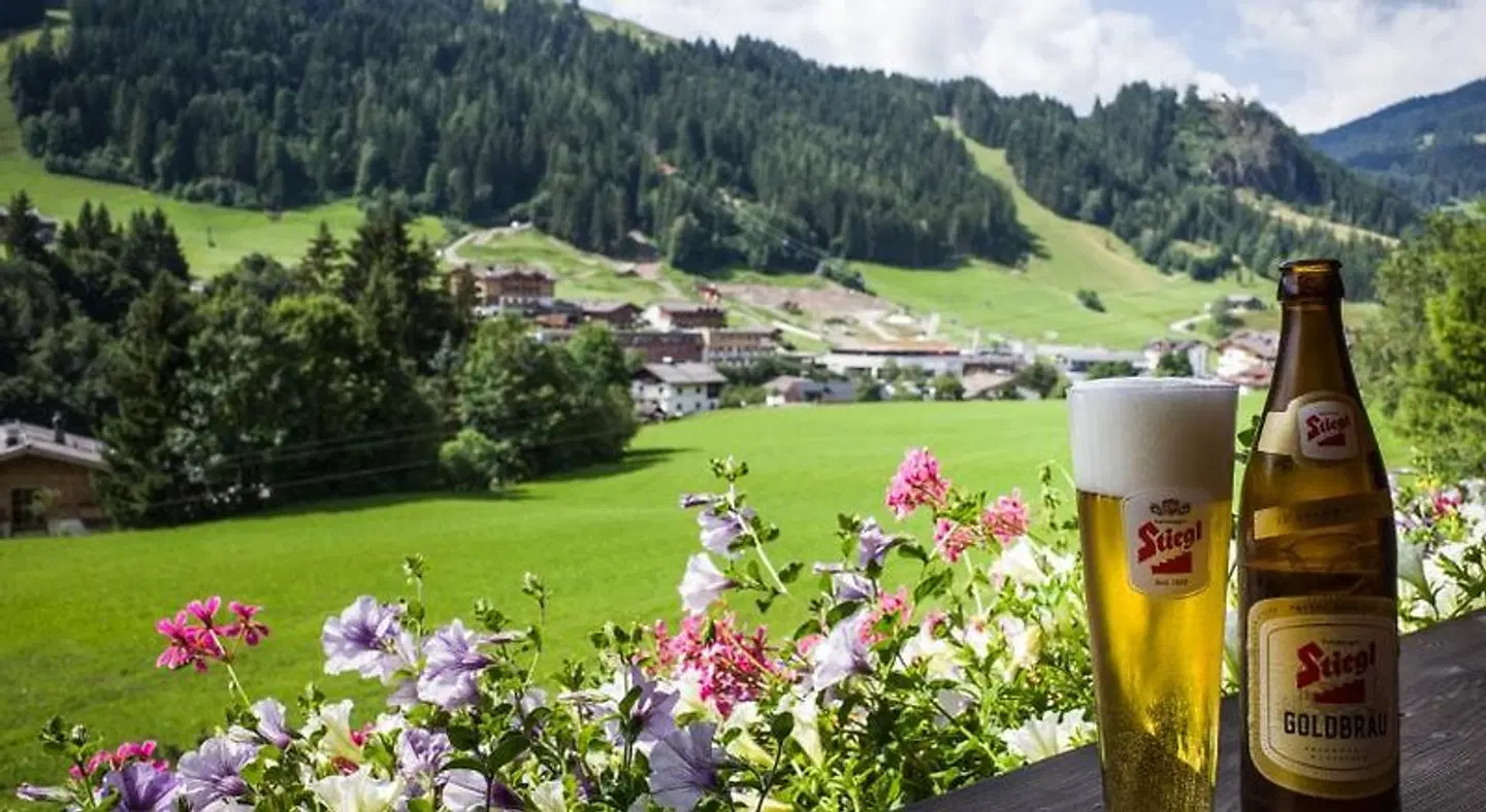 Ferienpension Bierbaumer LANDSCAPE