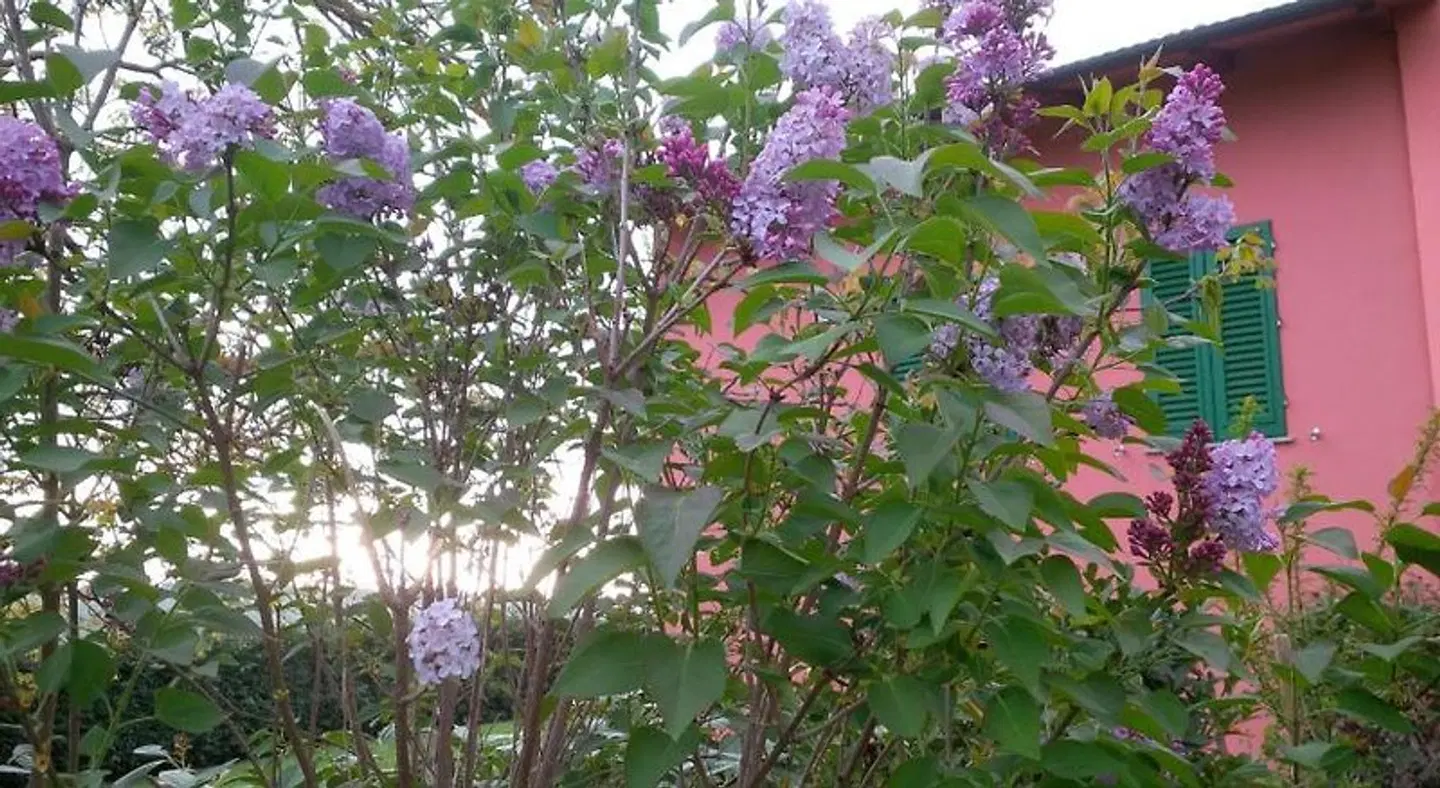 Agriturismo Le Caselle Garten