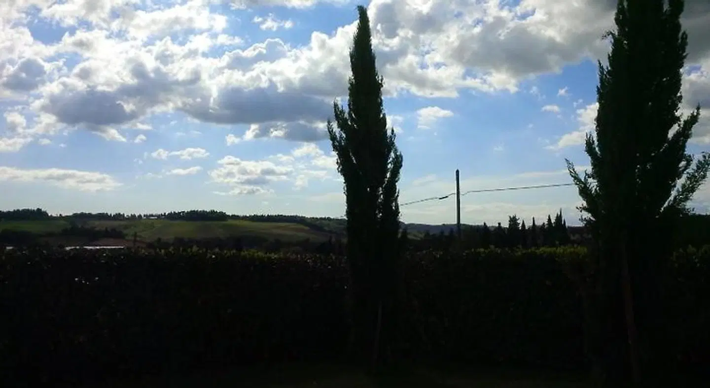 Agriturismo Le Caselle LANDSCAPE