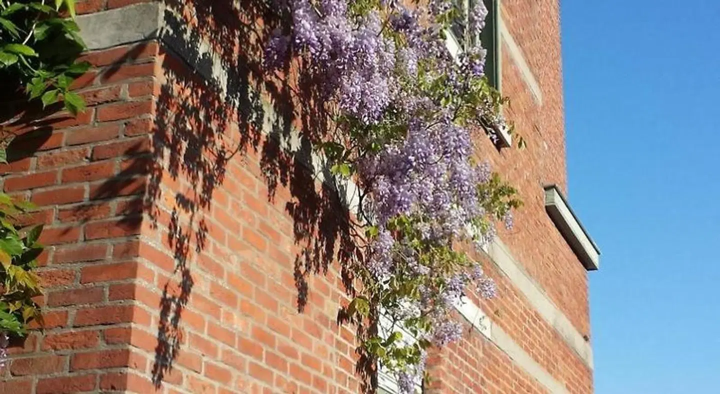B&B Fine Fleur LANDSCAPE