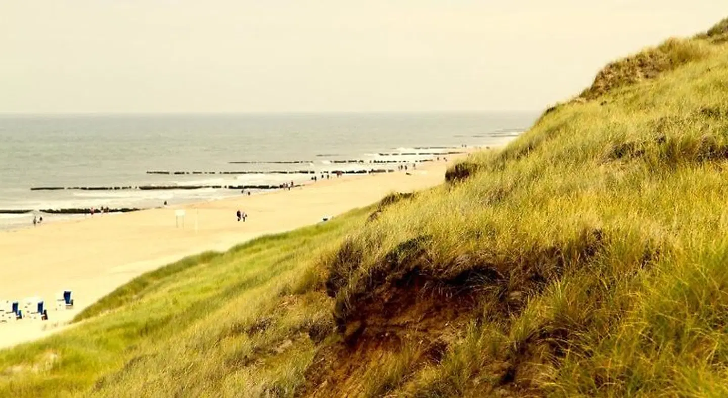 Strandhörn LANDSCAPE