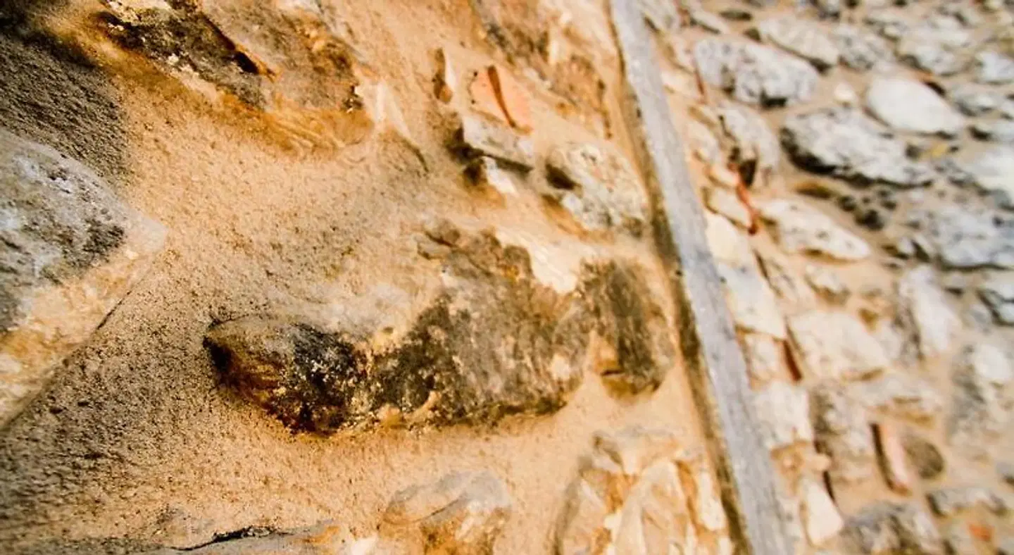 Garni Gianmartin Tiere