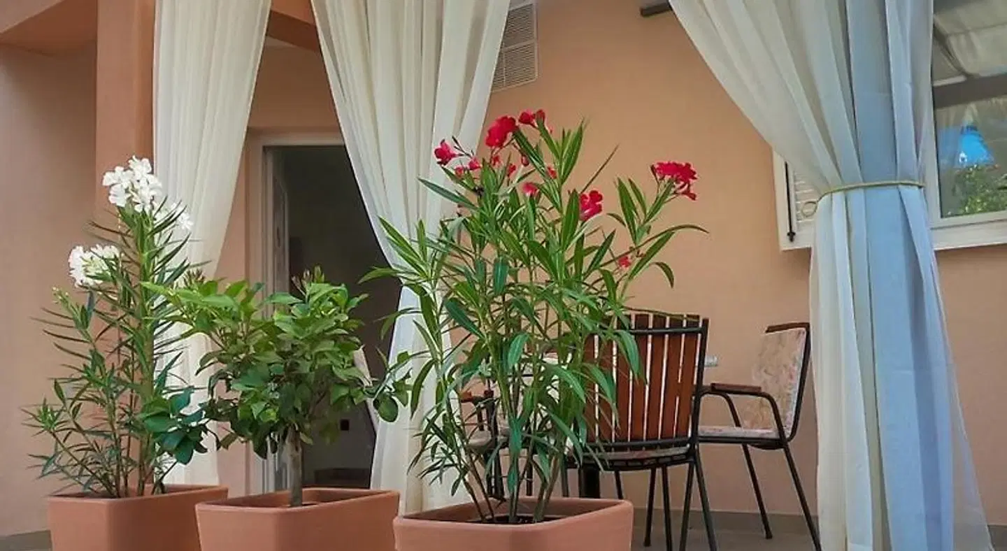 Apartment TaDe - Tag & Desire HEALTH_BEAUTY