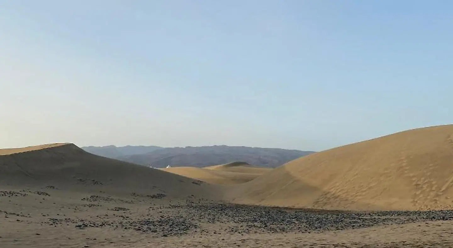 Apartamentos Oasis Maspalomas LANDSCAPE