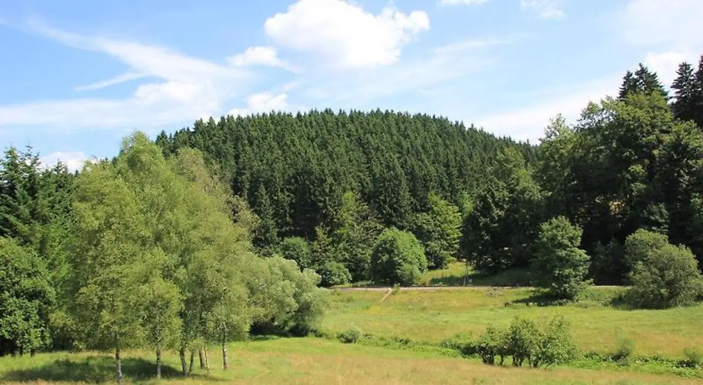 Zum Reifberg LANDSCAPE