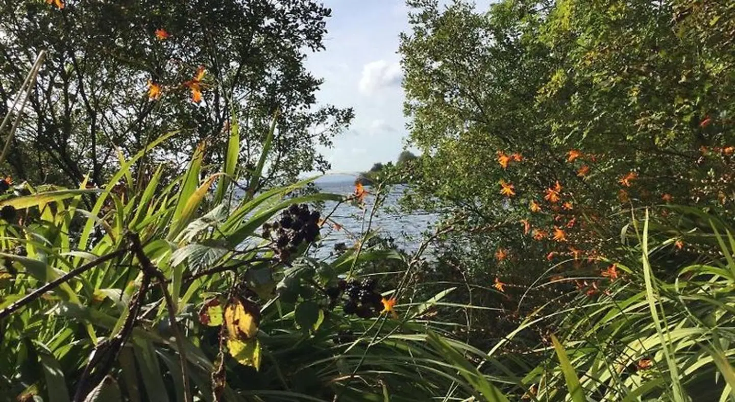 Ryan's River Lodge LANDSCAPE