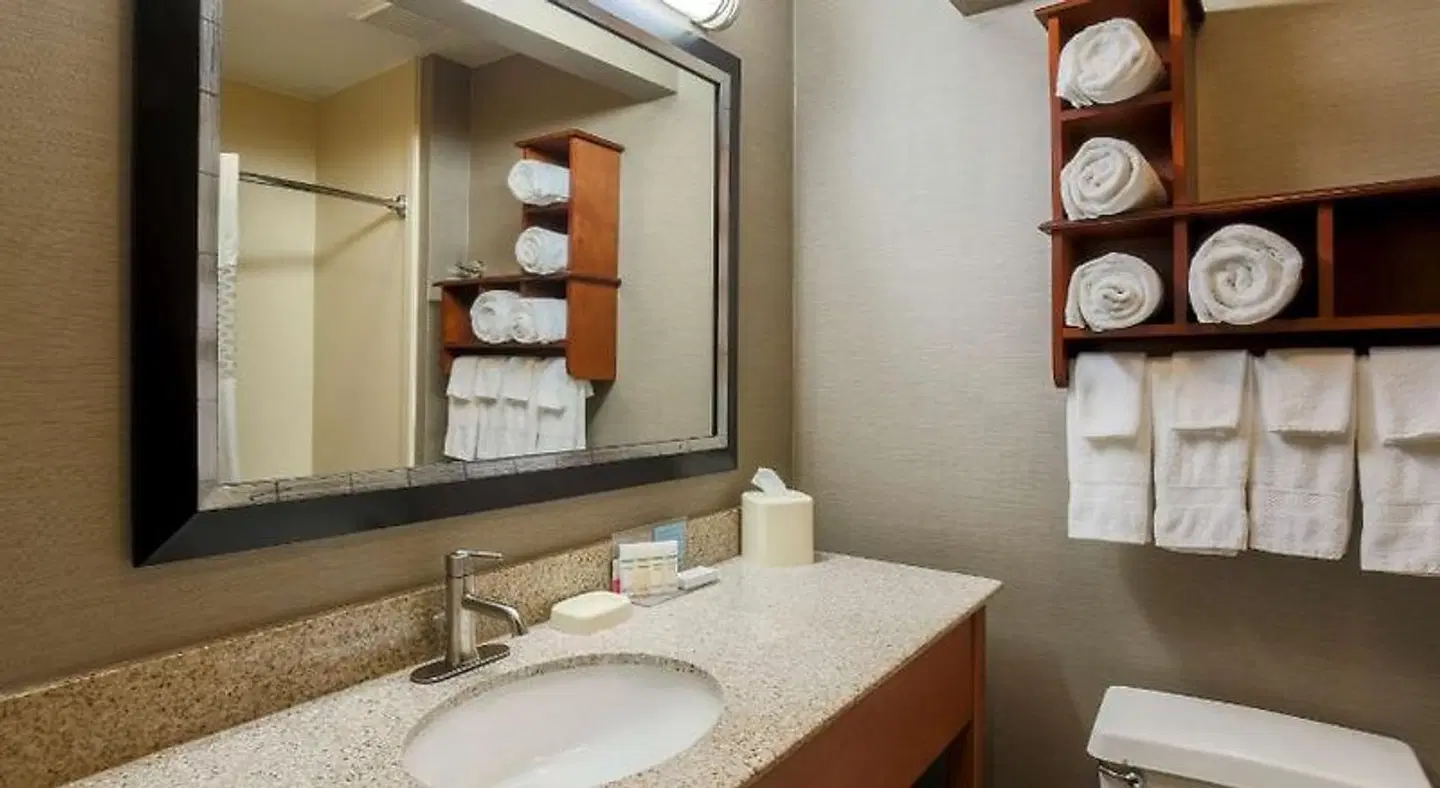Hampton Inn Lexington South-Keeneland/Airport Badezimmer