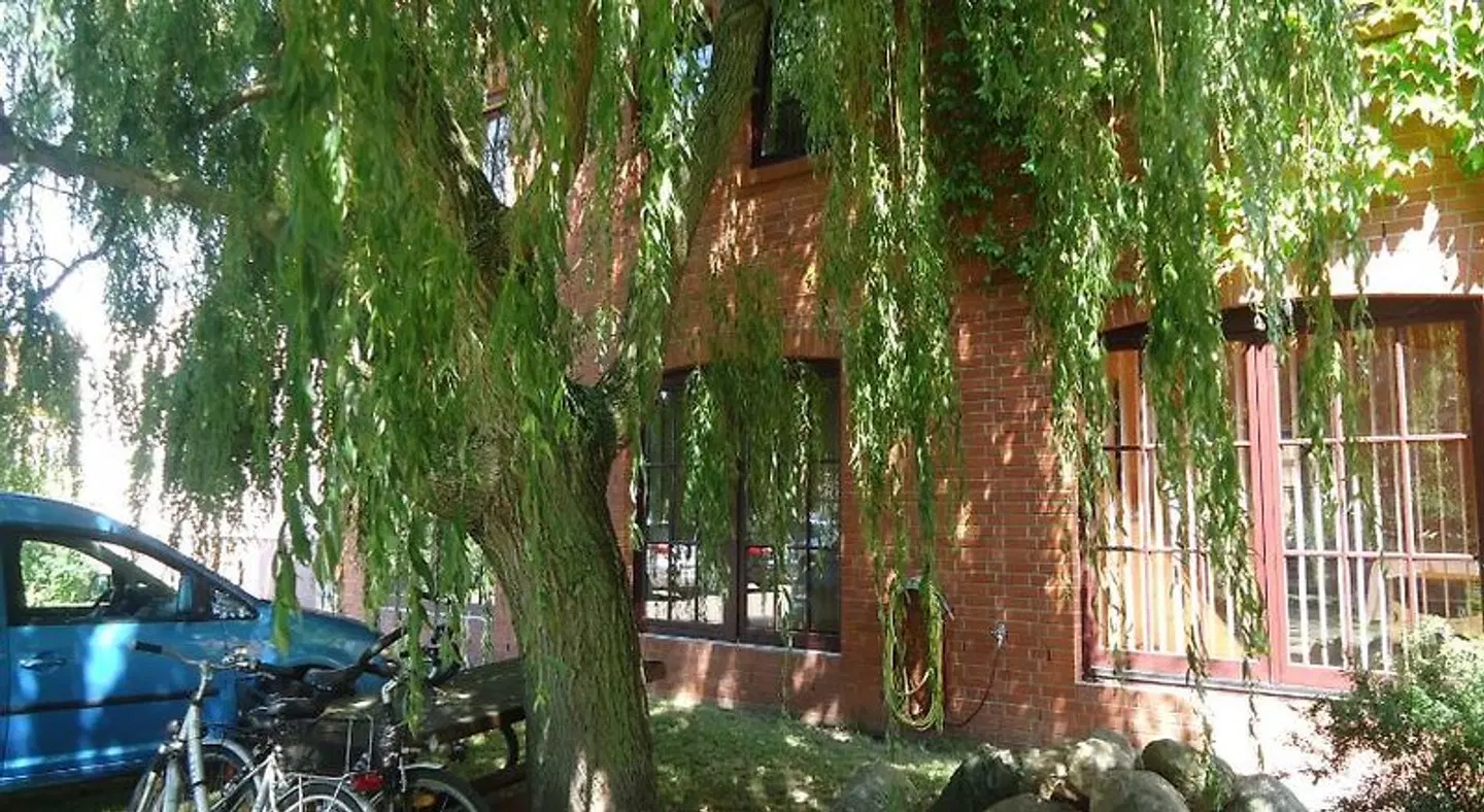 Wilhelmshof Garten