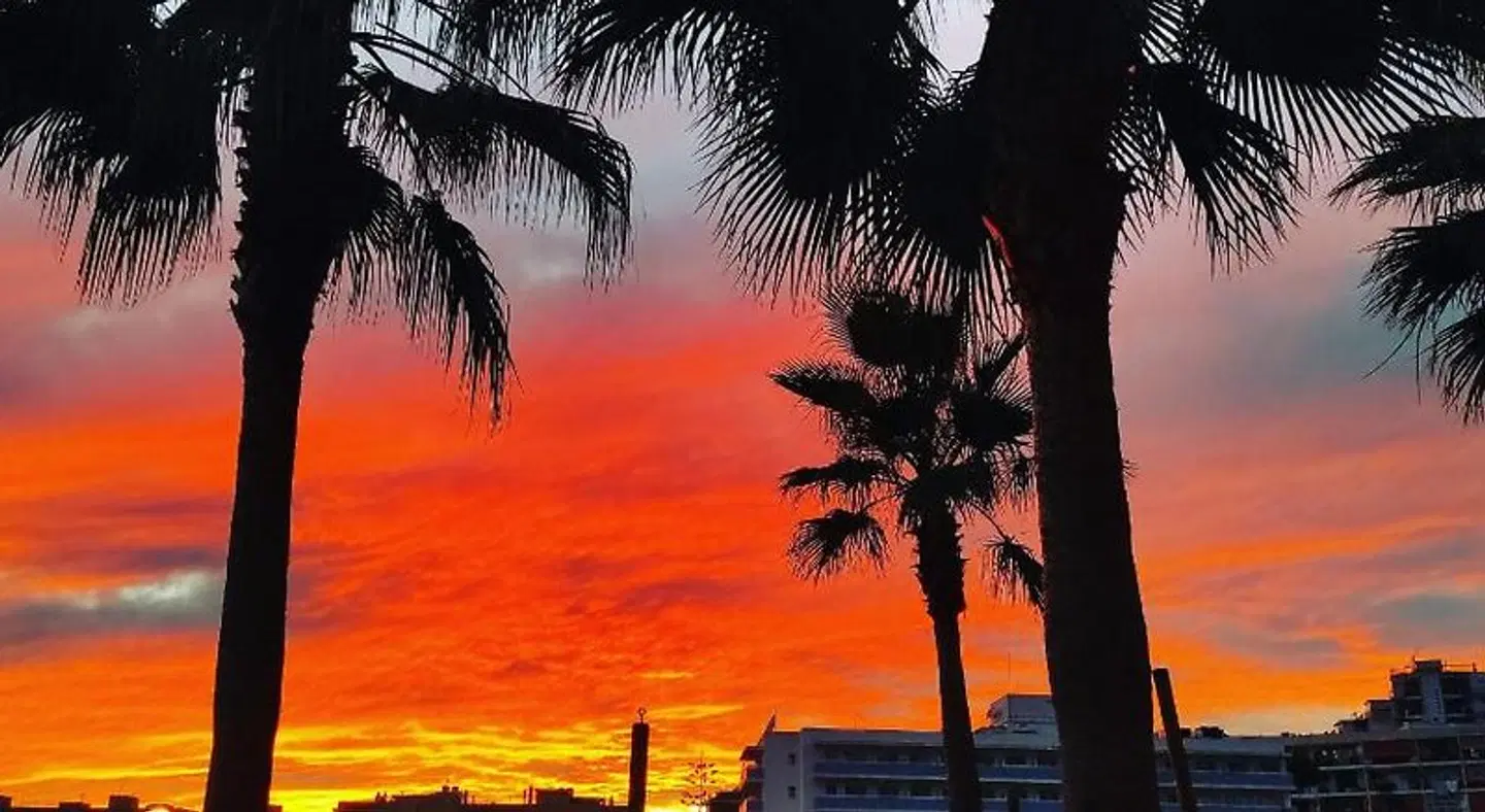 Hotel Bonsol LANDSCAPE