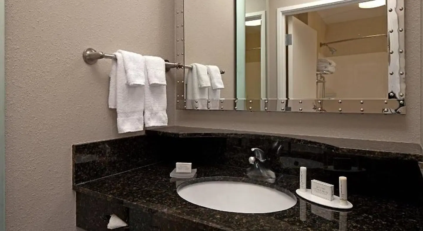 SpringHill Suites by Marriott Baltimore Downtown/Inner Harbor Badezimmer