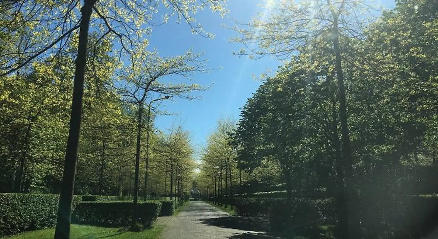 De Zilvermeeuw Garten