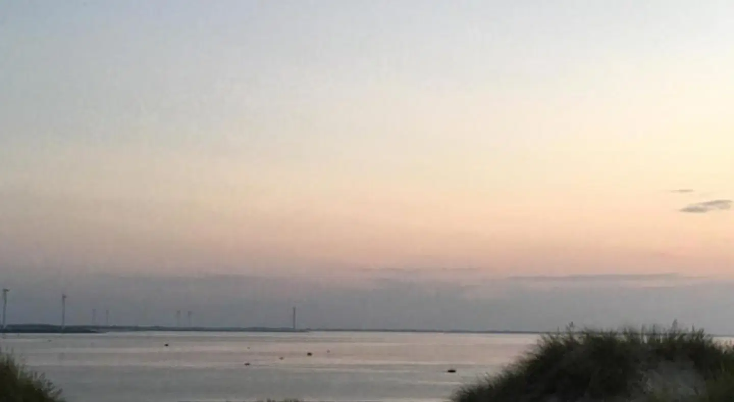 De Zilvermeeuw LANDSCAPE